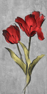 Image Not Available
